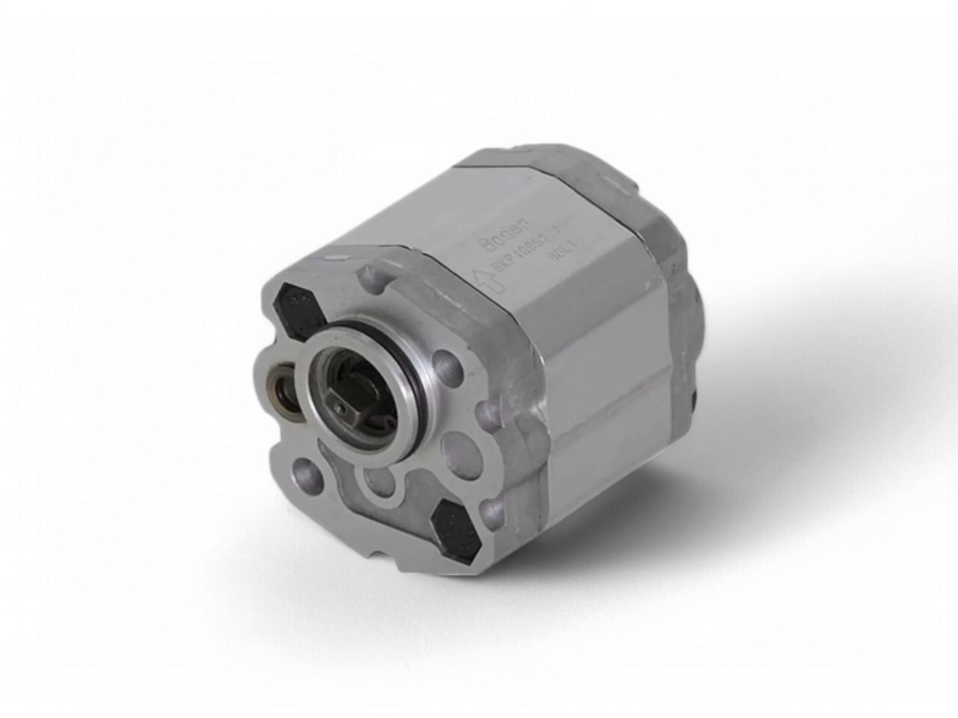 Alüminyum Gövde Dişli Pompalar Boden