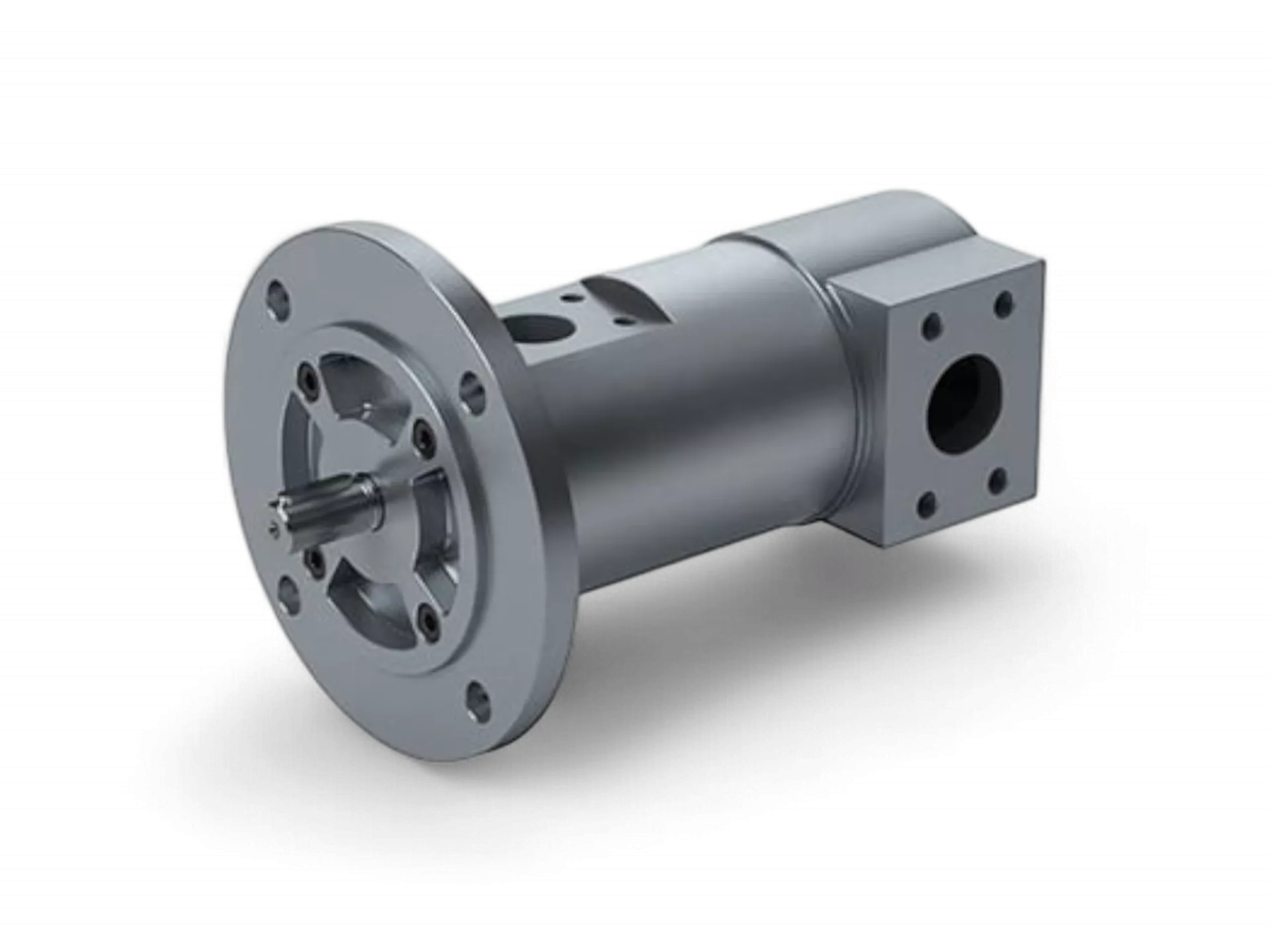 Screw and Quiet Pumps SETTIMA